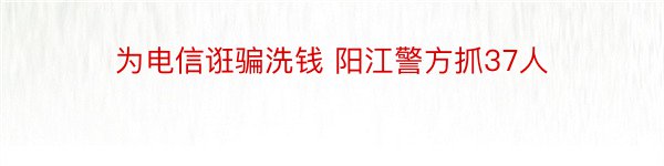 为电信诳骗洗钱 阳江警方抓37人