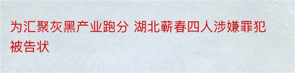 为汇聚灰黑产业跑分 湖北蕲春四人涉嫌罪犯被告状