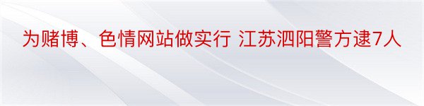 为赌博、色情网站做实行 江苏泗阳警方逮7人