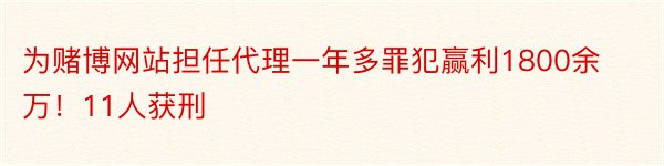 为赌博网站担任代理一年多罪犯赢利1800余万！11人获刑