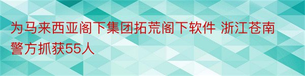 为马来西亚阁下集团拓荒阁下软件 浙江苍南警方抓获55人