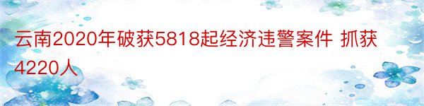 云南2020年破获5818起经济违警案件 抓获4220人