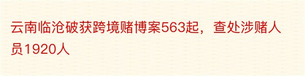 云南临沧破获跨境赌博案563起，查处涉赌人员1920人