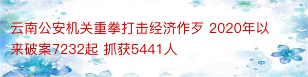 云南公安机关重拳打击经济作歹 2020年以来破案7232起 抓获5441人