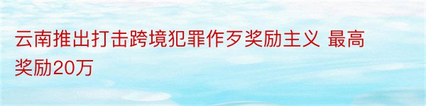 云南推出打击跨境犯罪作歹奖励主义 最高奖励20万