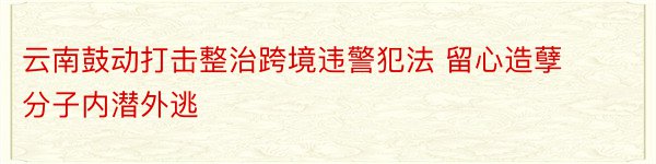 云南鼓动打击整治跨境违警犯法 留心造孽分子内潜外逃