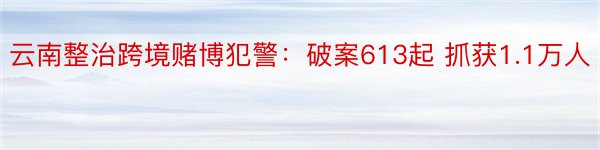 云南整治跨境赌博犯警：破案613起 抓获1.1万人