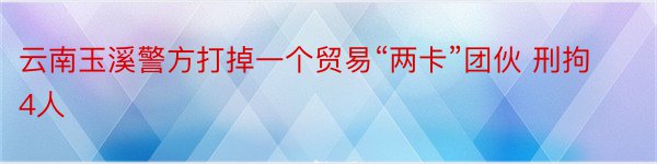 云南玉溪警方打掉一个贸易“两卡”团伙 刑拘4人