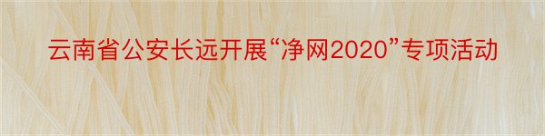 云南省公安长远开展“净网2020”专项活动