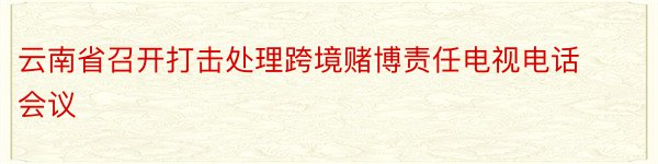 云南省召开打击处理跨境赌博责任电视电话会议