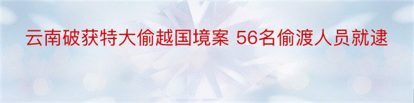 云南破获特大偷越国境案 56名偷渡人员就逮