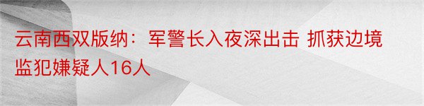 云南西双版纳：军警长入夜深出击 抓获边境监犯嫌疑人16人