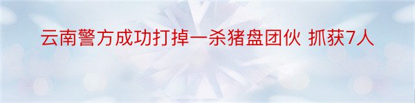 云南警方成功打掉一杀猪盘团伙 抓获7人