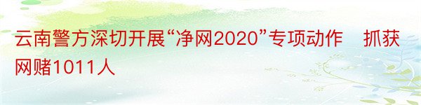 云南警方深切开展“净网2020”专项动作 抓获网赌1011人