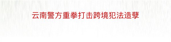 云南警方重拳打击跨境犯法造孽