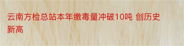 云南方检总站本年缴毒量冲破10吨 创历史新高