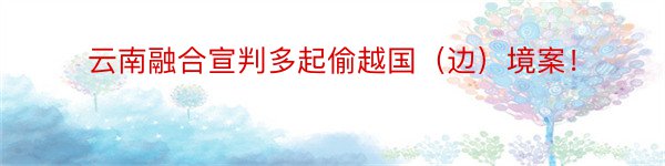 云南融合宣判多起偷越国（边）境案！