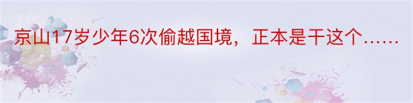 京山17岁少年6次偷越国境，正本是干这个……