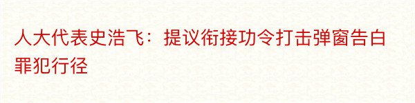 人大代表史浩飞：提议衔接功令打击弹窗告白罪犯行径