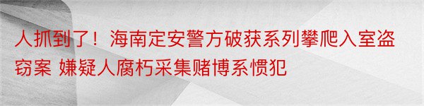 人抓到了！海南定安警方破获系列攀爬入室盗窃案 嫌疑人腐朽采集赌博系惯犯