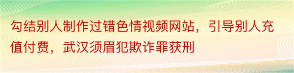 勾结别人制作过错色情视频网站，引导别人充值付费，武汉须眉犯欺诈罪获刑