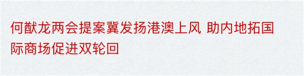 何猷龙两会提案冀发扬港澳上风 助内地拓国际商场促进双轮回