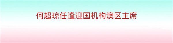 何超琼任逢迎国机构澳区主席