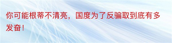 你可能根蒂不清亮，国度为了反骗取到底有多发奋！