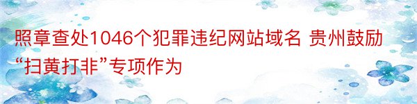 照章查处1046个犯罪违纪网站域名 贵州鼓励“扫黄打非”专项作为