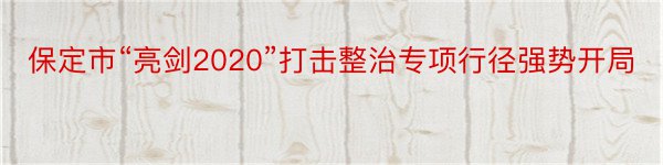 保定市“亮剑2020”打击整治专项行径强势开局