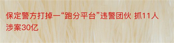 保定警方打掉一“跑分平台”违警团伙 抓11人涉案30亿