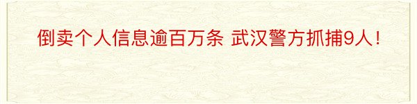 倒卖个人信息逾百万条 武汉警方抓捕9人！