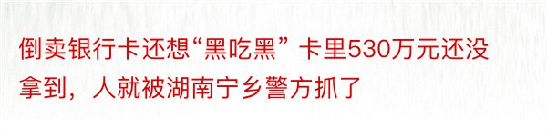 倒卖银行卡还想“黑吃黑” 卡里530万元还没拿到，人就被湖南宁乡警方抓了