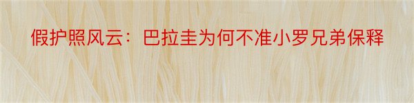 假护照风云：巴拉圭为何不准小罗兄弟保释