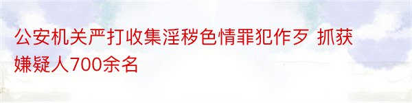 公安机关严打收集淫秽色情罪犯作歹 抓获嫌疑人700余名