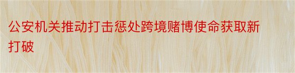 公安机关推动打击惩处跨境赌博使命获取新打破