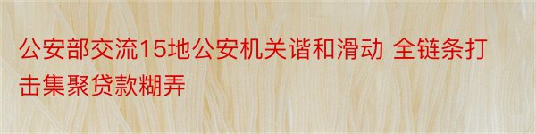 公安部交流15地公安机关谐和滑动 全链条打击集聚贷款糊弄