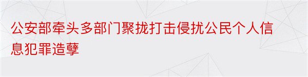 公安部牵头多部门聚拢打击侵扰公民个人信息犯罪造孽