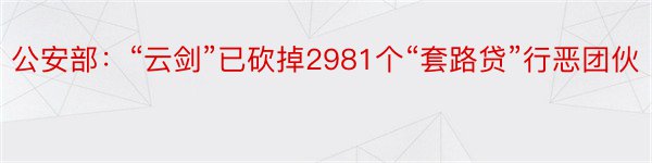 公安部：“云剑”已砍掉2981个“套路贷”行恶团伙