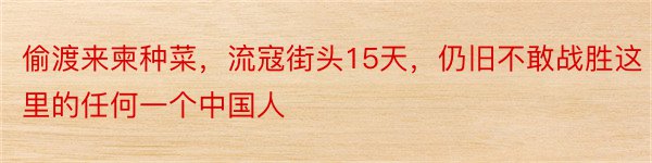 偷渡来柬种菜，流寇街头15天，仍旧不敢战胜这里的任何一个中国人