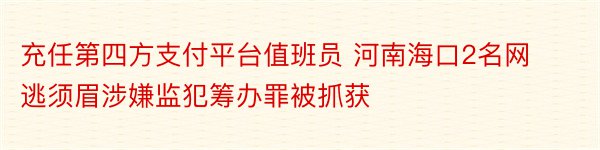 充任第四方支付平台值班员 河南海口2名网逃须眉涉嫌监犯筹办罪被抓获