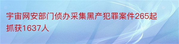 宇宙网安部门侦办采集黑产犯罪案件265起 抓获1637人