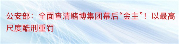 公安部：全面查清赌博集团幕后“金主”！以最高尺度酷刑重罚