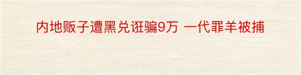 内地贩子遭黑兑诳骗9万 一代罪羊被捕