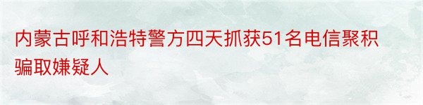 内蒙古呼和浩特警方四天抓获51名电信聚积骗取嫌疑人