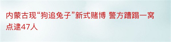 内蒙古现“狗追兔子”新式赌博 警方蹧蹋一窝点逮47人