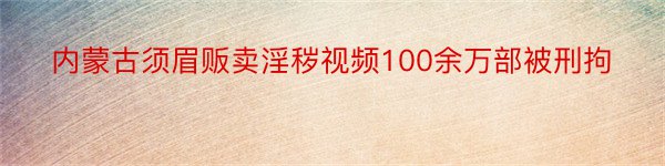 内蒙古须眉贩卖淫秽视频100余万部被刑拘