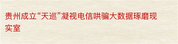 贵州成立“天巡”凝视电信哄骗大数据琢磨现实室