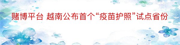 赌博平台 越南公布首个“疫苗护照”试点省份