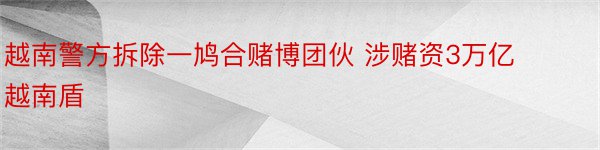 越南警方拆除一鸠合赌博团伙 涉赌资3万亿越南盾